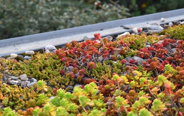 the cost of Cobham green roof installation