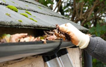 gutter cleaning Cobham