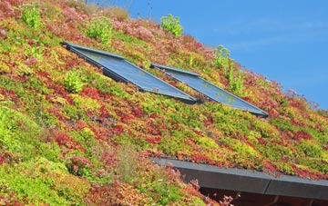 Cobham living roof systems
