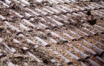 Cobham roof cleaning companies